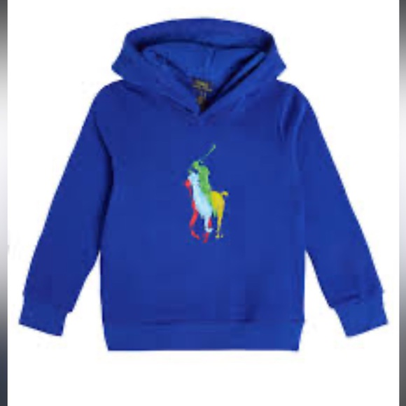 NWT Polo Ralph Lauren Boys Cotton Jersey Hooded Sweatshirt Size 3 - Picture 1 of 7